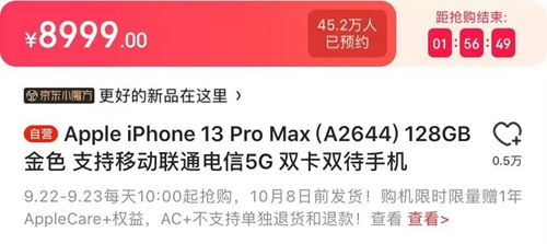 iPhone13pro Max